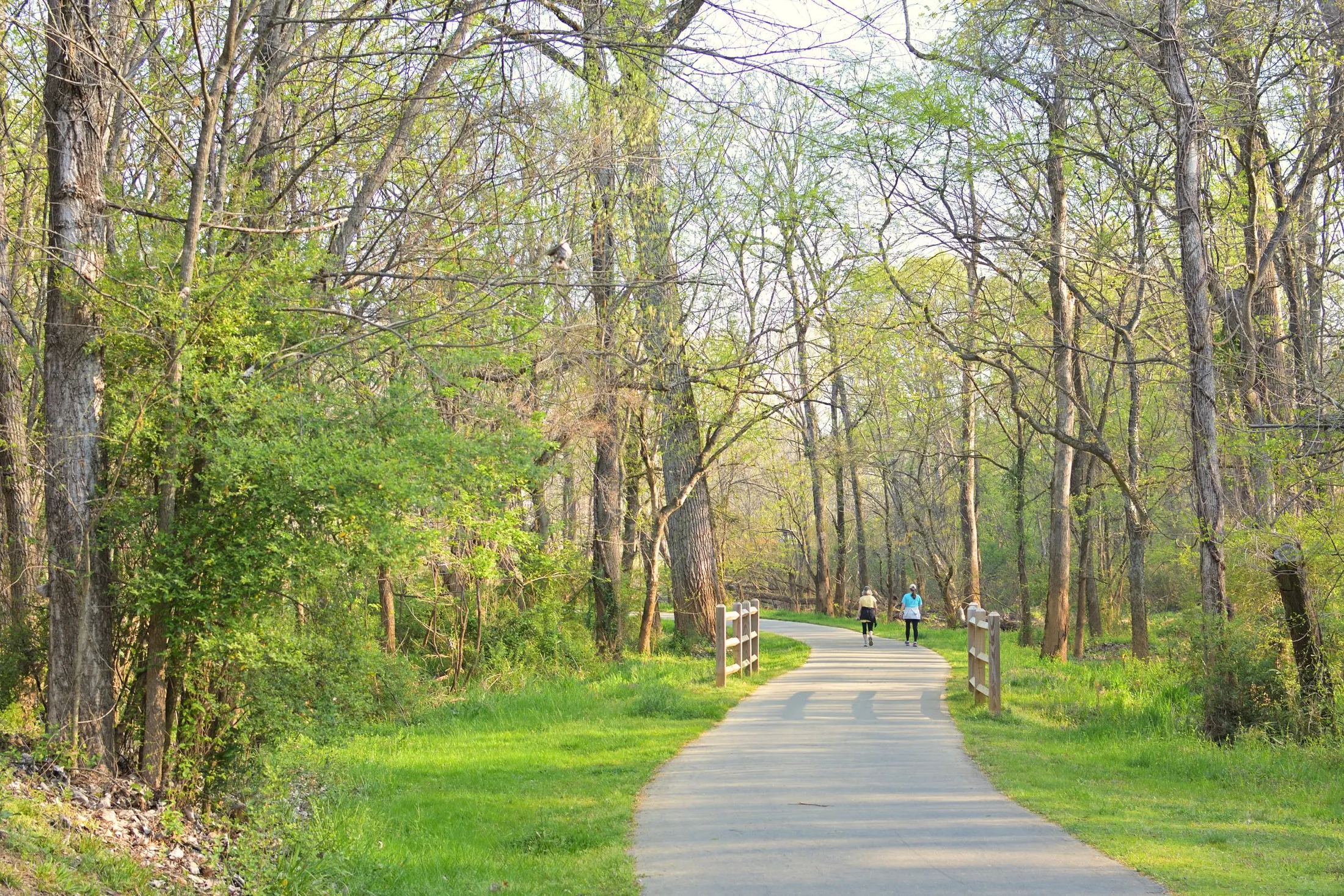 A paved greenway through spring woods with two walkers in the distance